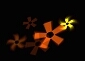 Forum image