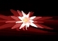 Forum image